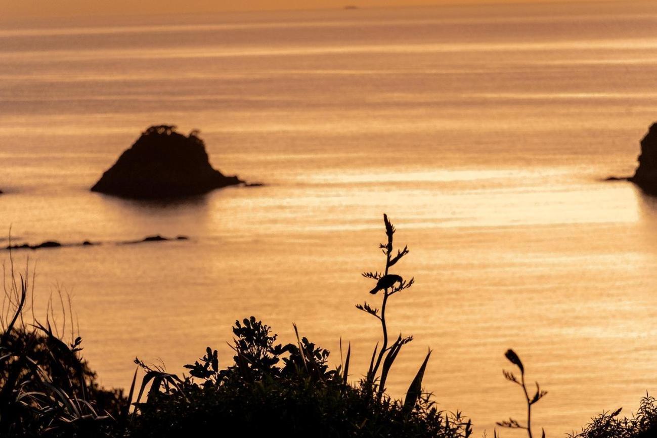 Appartement Cathedral Cove And Sunrise à Hahei Extérieur photo