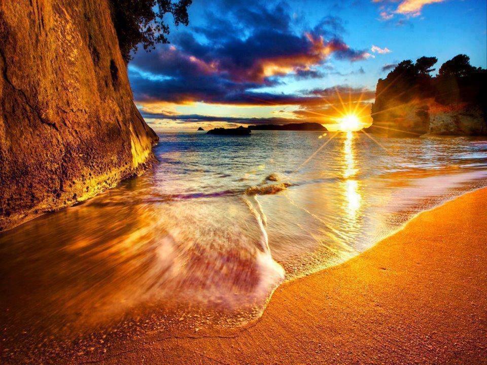 Appartement Cathedral Cove And Sunrise à Hahei Extérieur photo